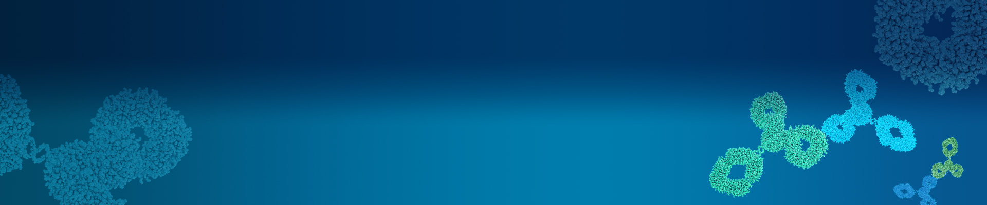 Anti-idiotype Antibody Products