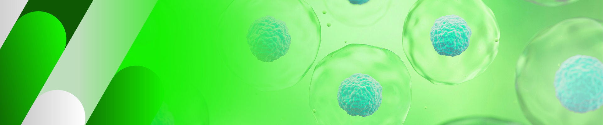 Cell Isolation and Activation