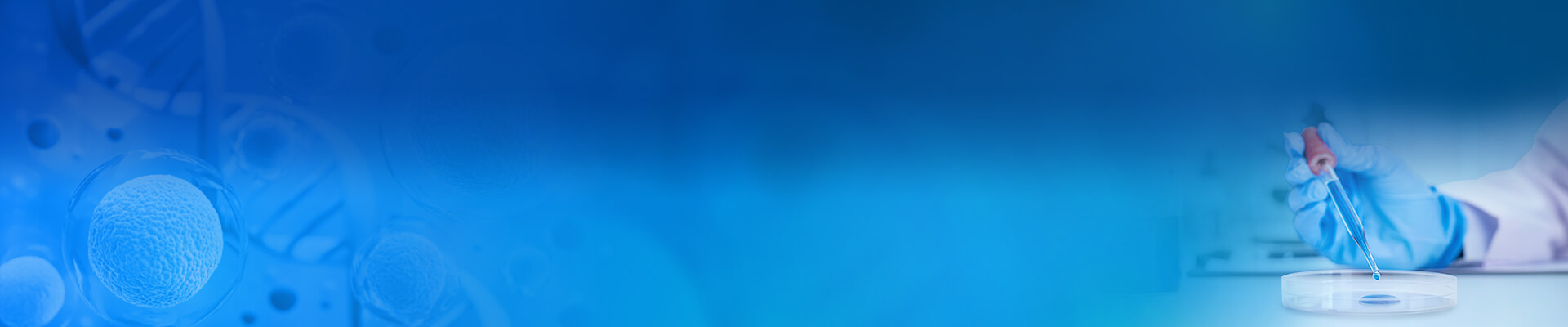 Recombinant Neurotrophins