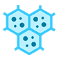 Enhanced Memory Phenotype