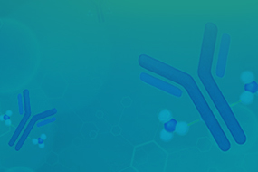 Anti-ScFv / Anti-VHH / Anti-GS Linker Antibodies