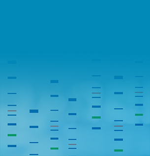 Protein Markers