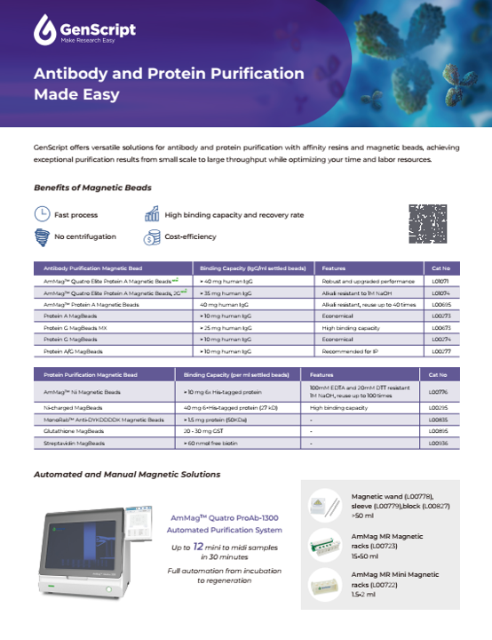 Purification products flyer