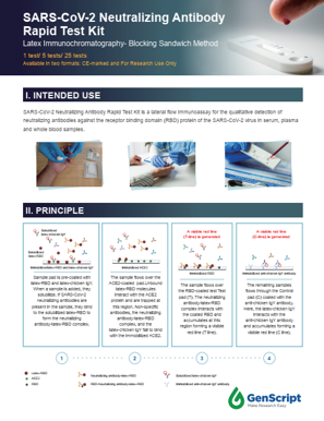 SARS-CoV-2 NAb Rapid Test Kit Flyer