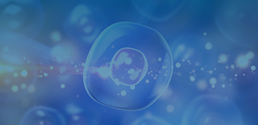 Stable Cell Lines