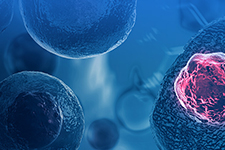 Cell therapy