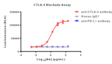 Bioassay for evaluating the inhibitory activity of anti-CTLA-4 antibody
