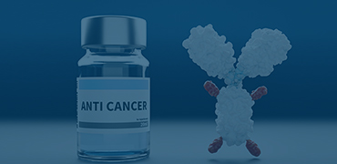 ADC Target Stable Cell Lines