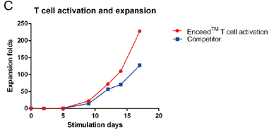 The number of activated T cells was monitored. On day 17, Enceed™ T cell Activation could expand T cells by nearly 250-fold.