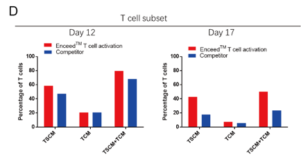 T cell memory phenotype were examined on days 12 and 17 after activation.