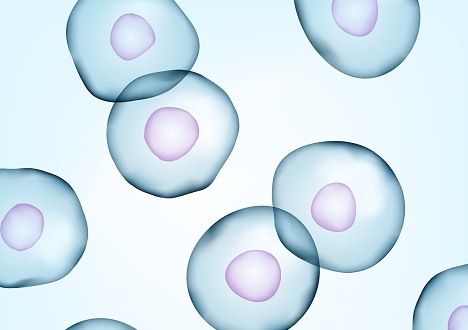 CytoSinctTM Cell Isolation Nanobeads