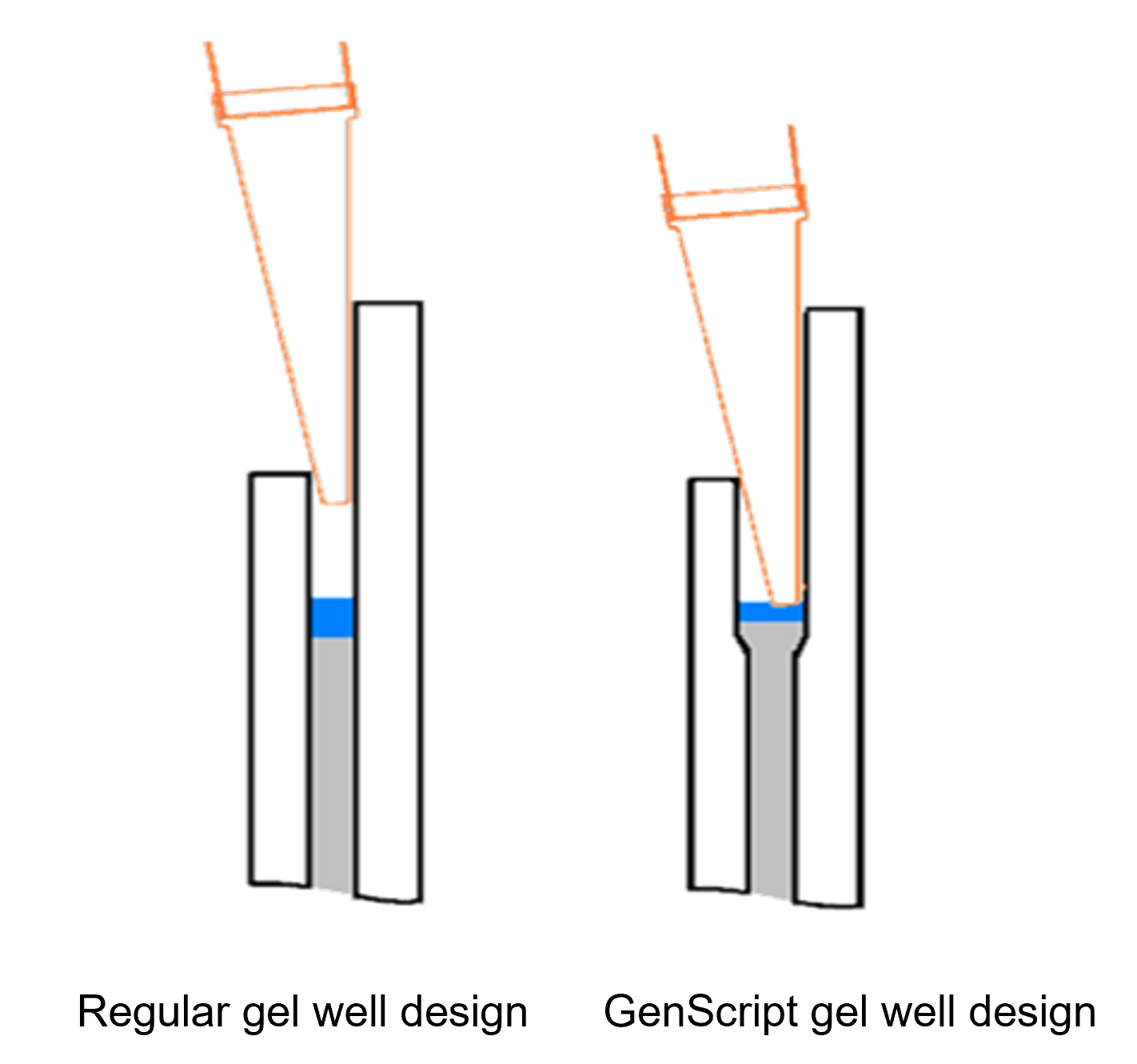 SurePAGE Precast Gels