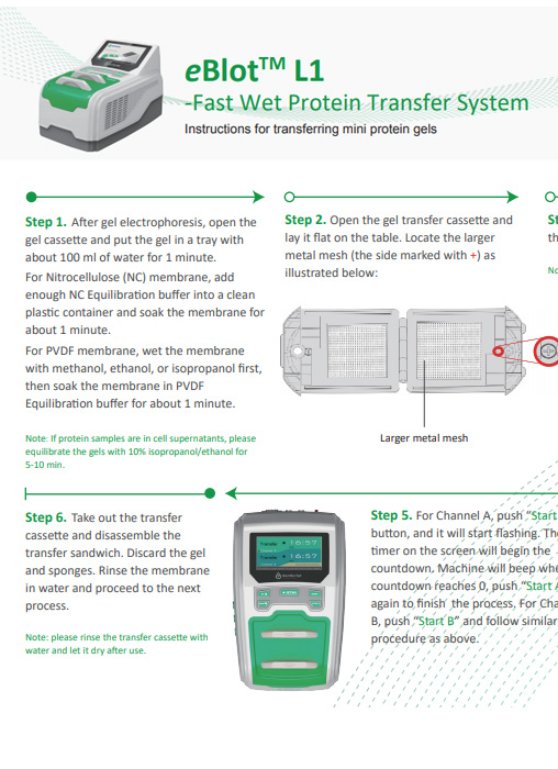 eBlot L1 Flyer