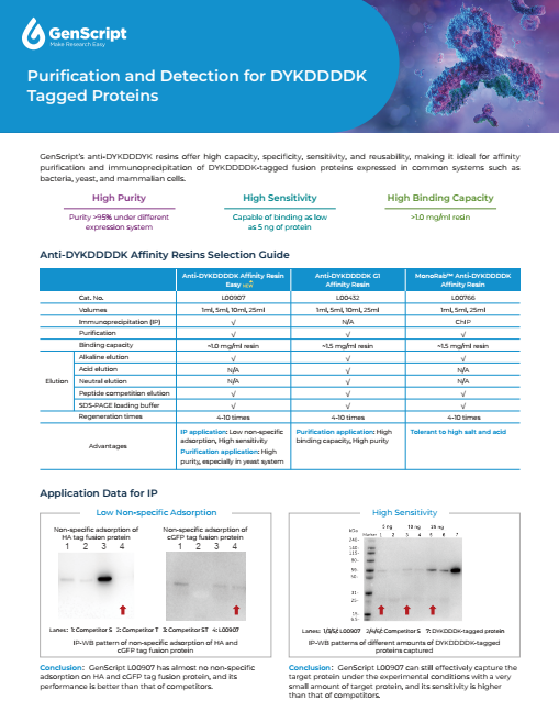 Purification products flyer
