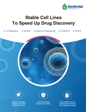 Stable Cell Lines Brochure 2023