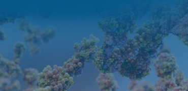 Protein and Antibody Purification