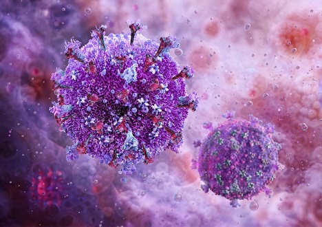 Virus Research Related Products