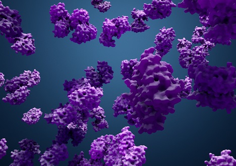 Target Proteins