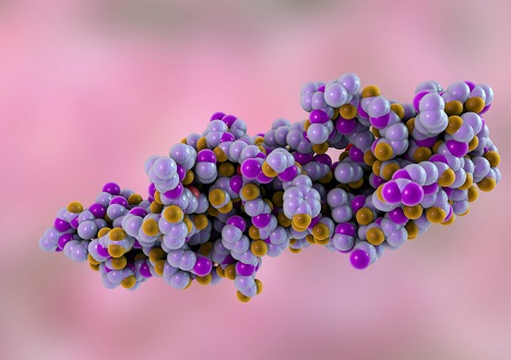 Tag Cleavage Enzymes