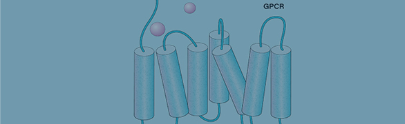 GPCR Stable Cell Lines​