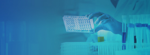 dsRNA ELISA kits
