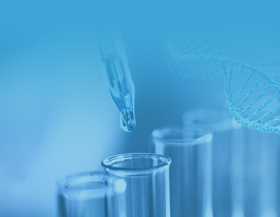 Stable Cell Line Assays 