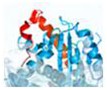 Two new TKIs as potential cancer drugs