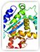 Amino Acid Derivatives