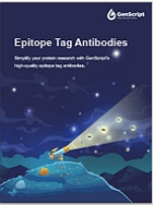 CRISPR/Cas9 gRNA Vector Design Guide