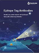 Epitope Tag Antibodies Brochure