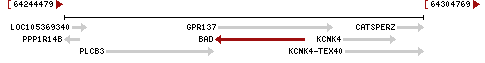 Chromosome 11 - NC_000011.10