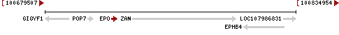 Chromosome 7 - NC_000007.14