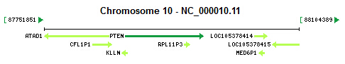 PTEN gene Genomic context