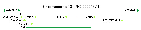 RB1 gene Genomic context