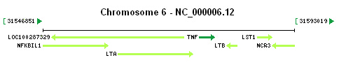 TNF gene Genomic context