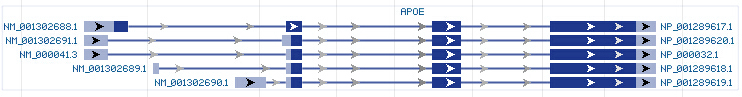 APOE gene Genomic sequence