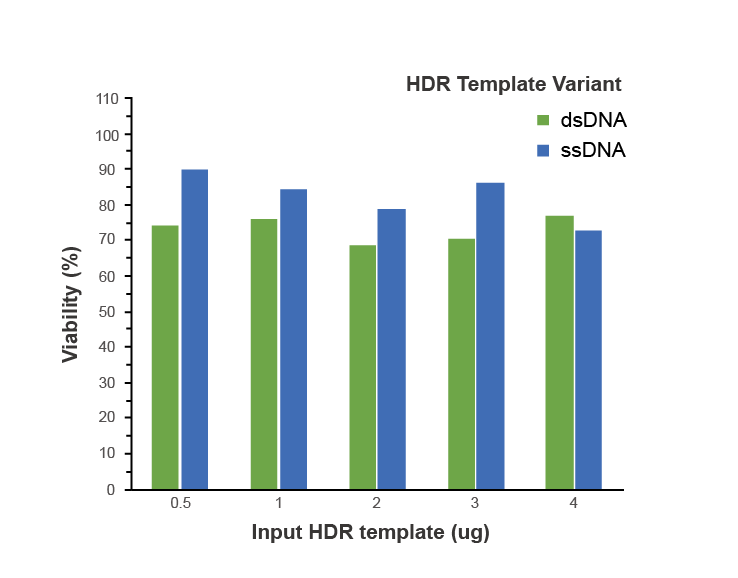 ssDNA vs dsDNA templates- cytotoxicity