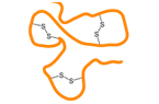 drug stability, dithiol amino acid, unnatural amino acid