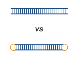 closed-end dsDNA advantage