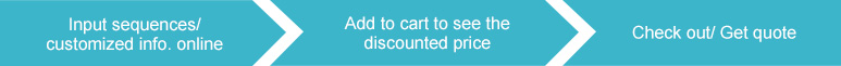 Economy Gene Synthesis Quotation & Ordering Process Economy Gene Synthesis Quotation & Ordering Process