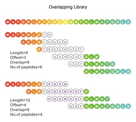 overlapping peptide pools