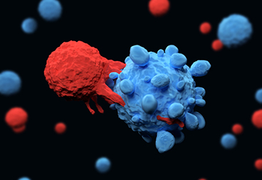 EGFRvIII specific CAR-NK cells for Glioblastoma