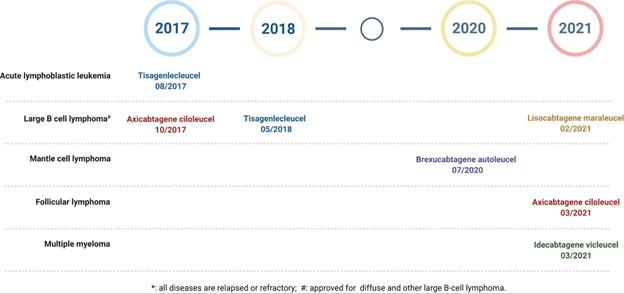FDA approved CAR T cell therapies