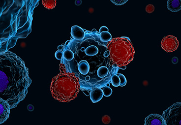 GMP CAR-T cell production