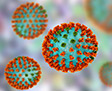 Human Vaccines Project against virus
