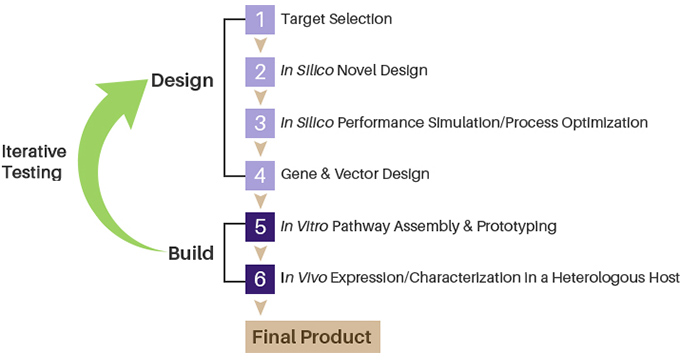 Metabolic Pathway Improvement Workflow