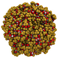 Counter-ion in Peptide Picture