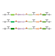 Sequential optimization