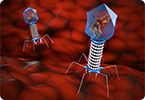 virology