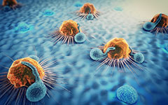 PCV Efficacy Screening